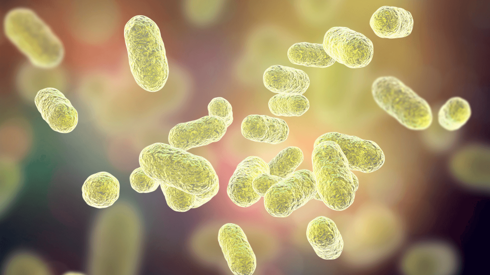 El Dr. Mariano Hernández en Onda Cero: la placa bacteriana.