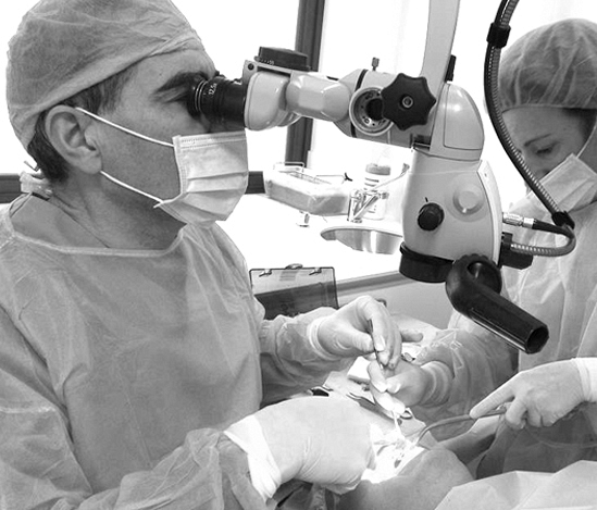 Hernández Dental Hernández Dental