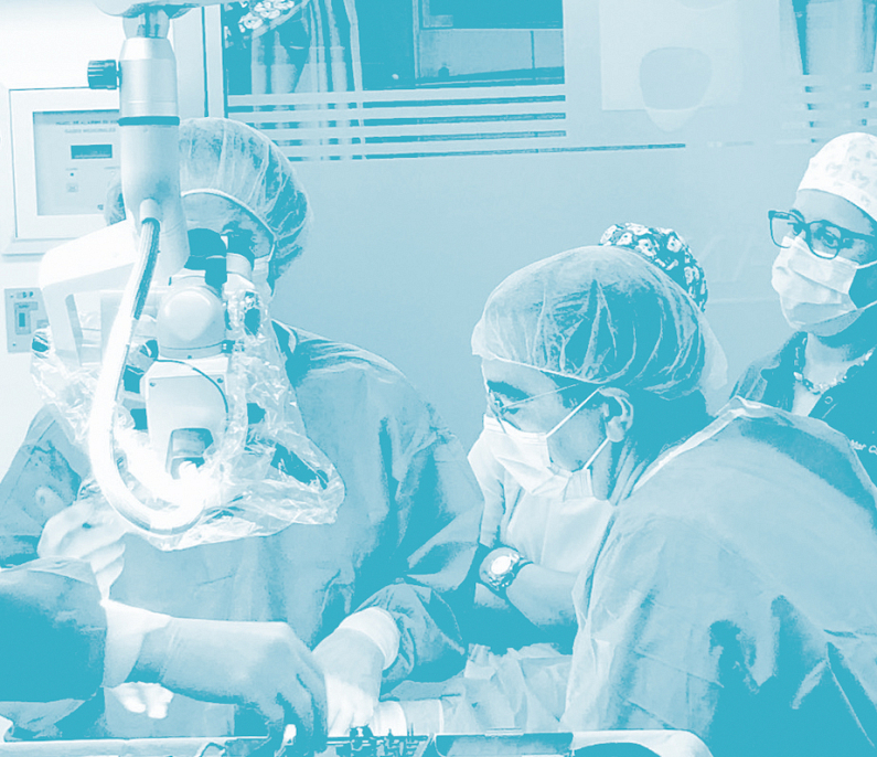 Sonda Periodontal, Florida Probe Sonda Periodontal, Florida Probe